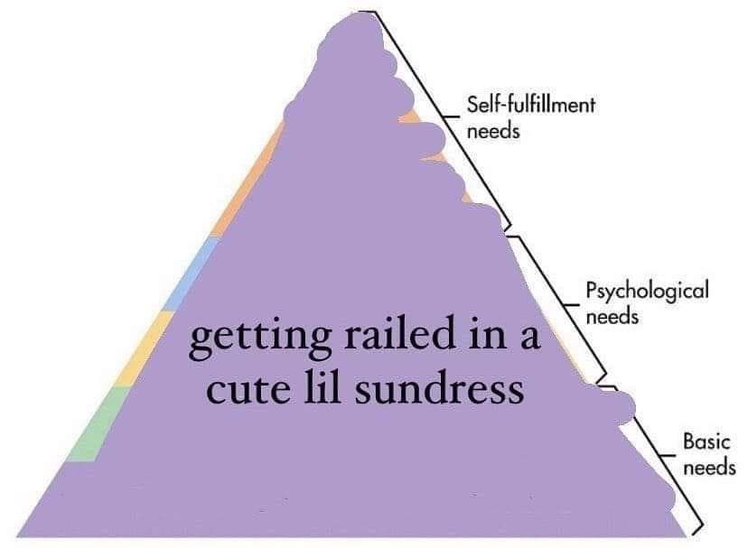 The meme is a humorous illustration of a pyramid with a large base and a small, pointed top. The text "Hierarchy of Needs" is written at the top of the pyramid, and the categories of needs are listed in descending order of importance, from "Basic Needs" at the base to "Self-Actualization" at the top. The image is captioned "Getting to the point where I just want to be left alone" and features a small, pointed top labeled "Getting to the point where I just want to be left alone".